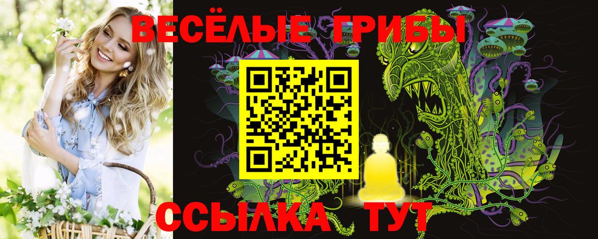 Псилоцибиновые грибы прущие грибы  Вход с VPN  Электросталь 